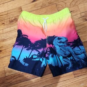 Colorful Dinosaur Swim Shorts